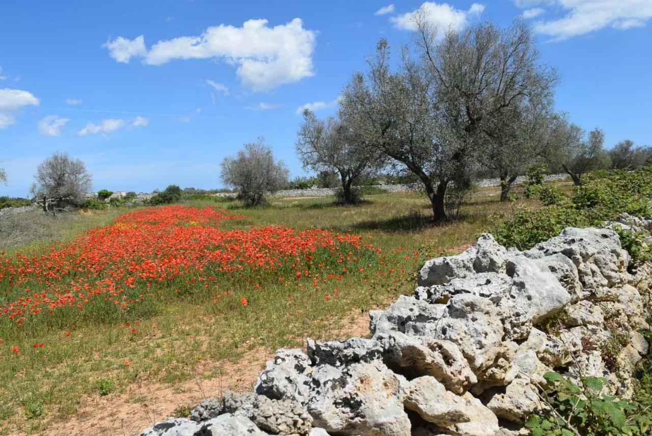 Villa Mios Muro Leccese Eksteriør billede